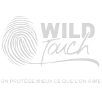 Wild Touch Studio